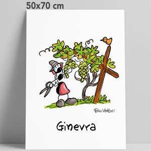 50x70 cm
