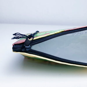 Basic case FV-C22
