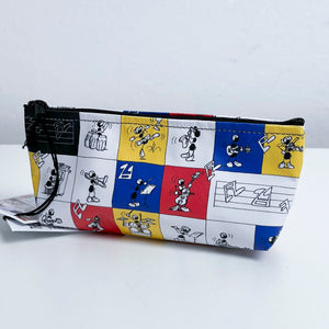Astuccio Basic FV-C18