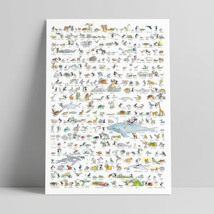 Poster "Animali" 50x70cm