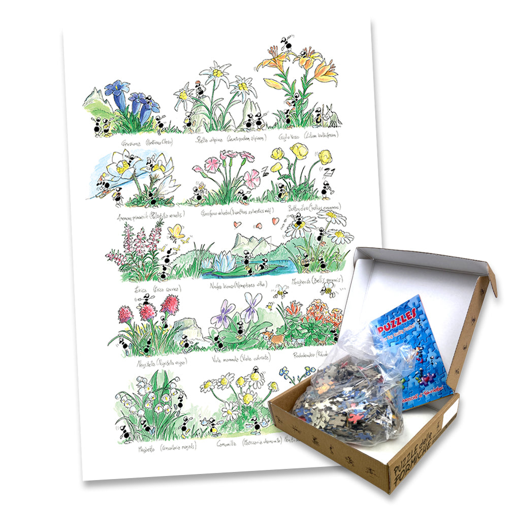 Puzzle "Flora alpina" 540 pezzi