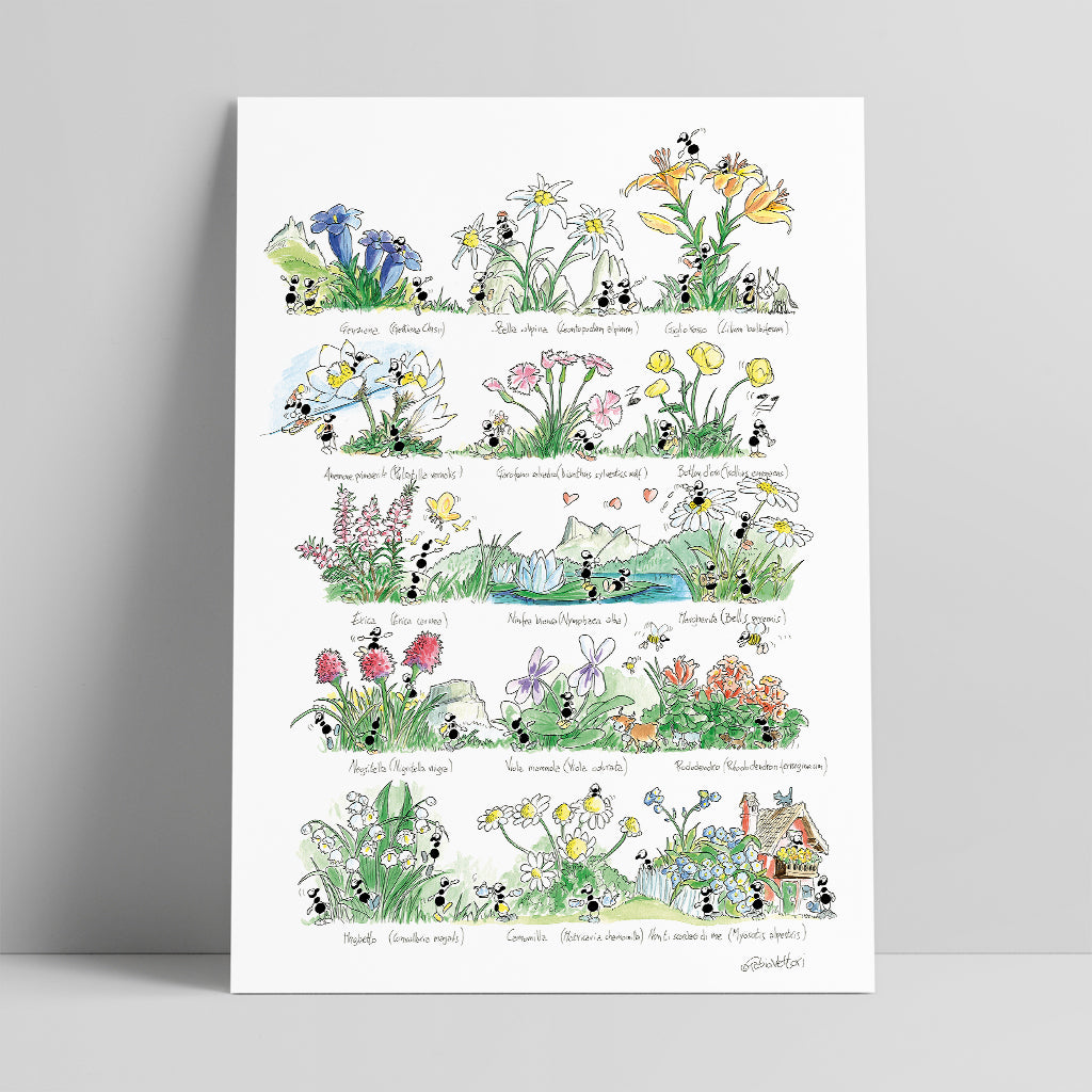 Poster "Fiori" 35x50cm