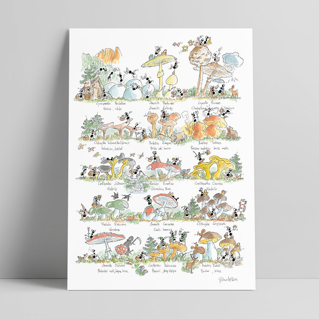 Poster "Funghi" 35x50cm