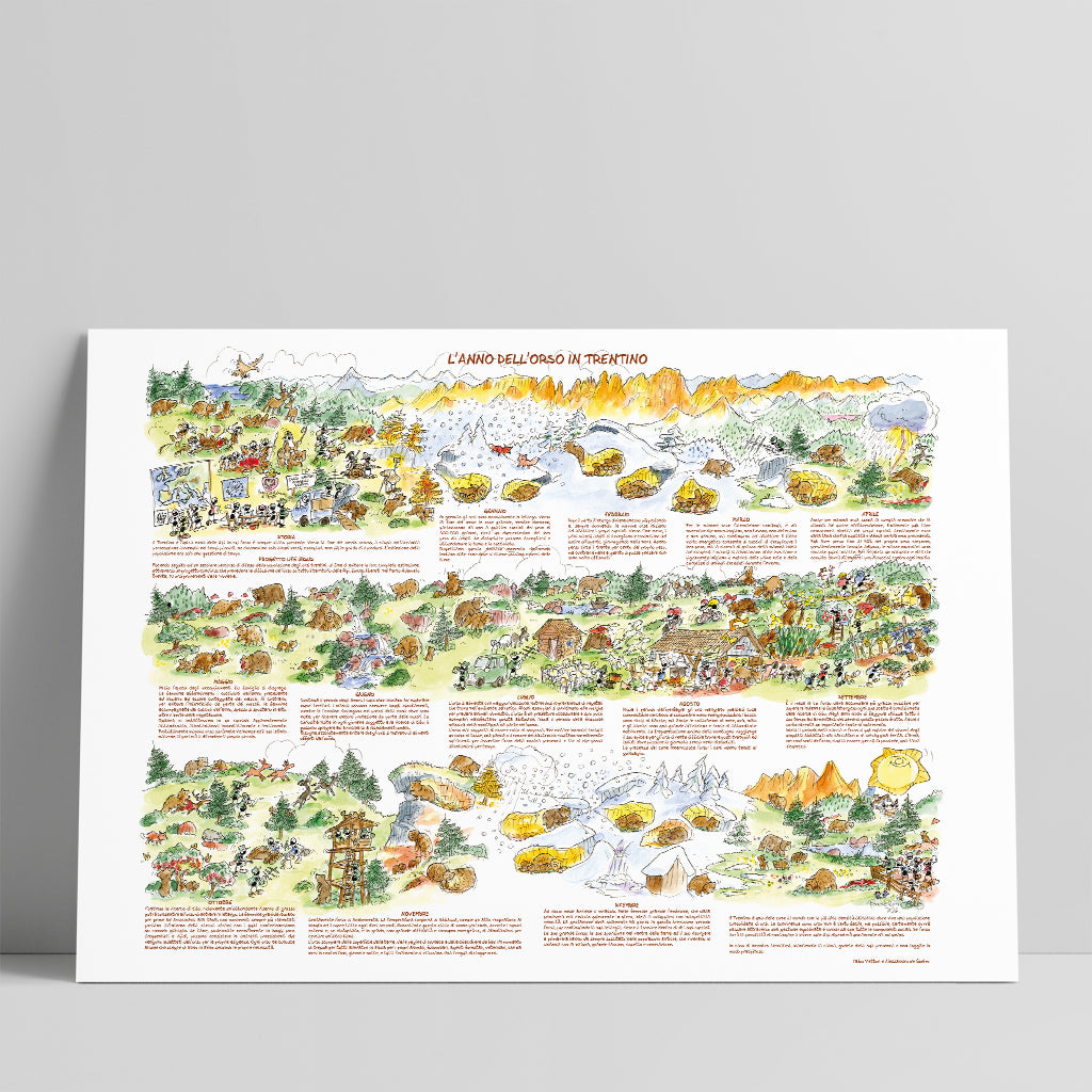 Poster "L'anno dell'orso in Trentino" 50x70cm