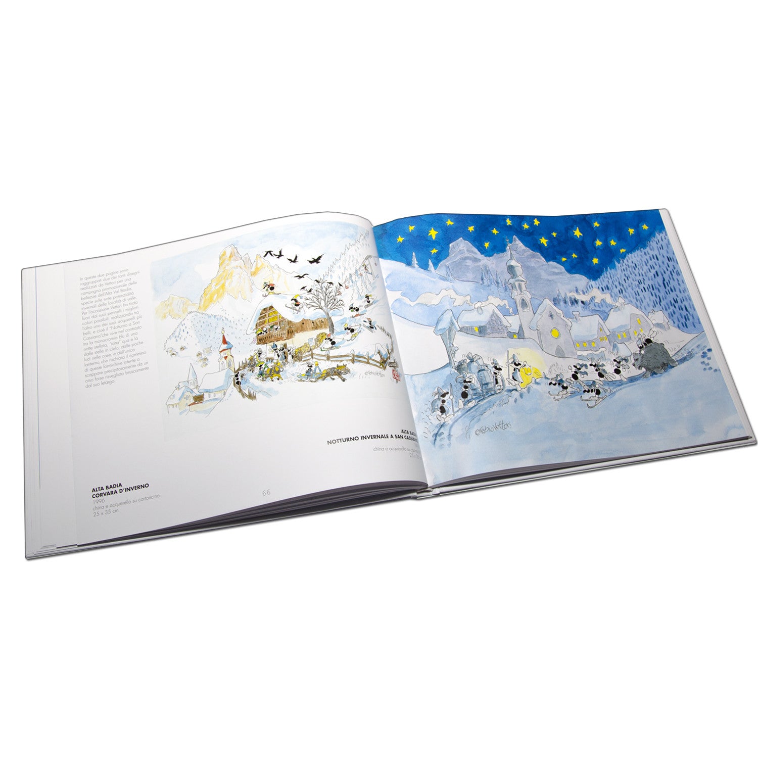 Book "The Ants by Fabio Vettori"