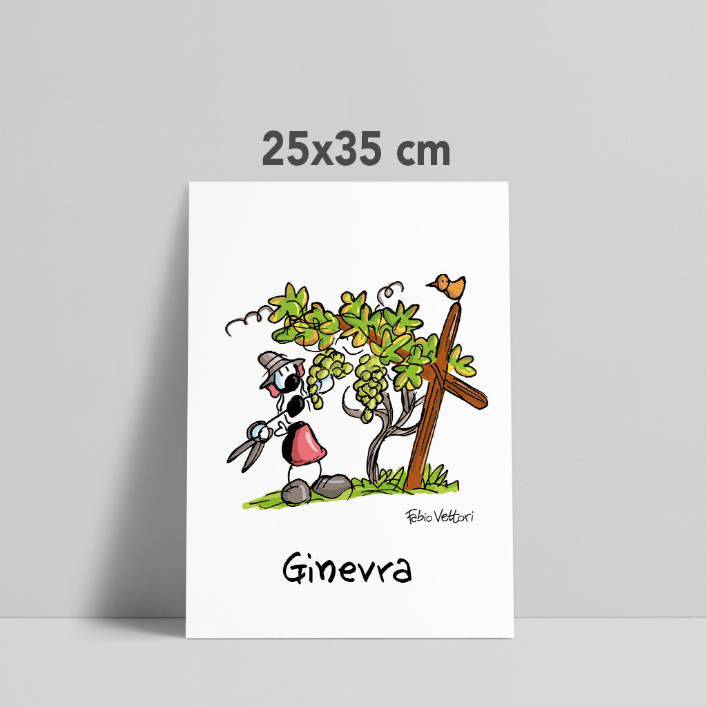 25x35 cm